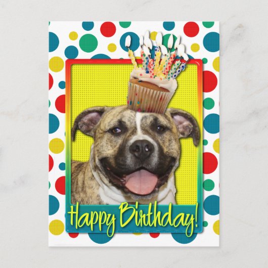 Carte Postale Cupcake d'anniversaire - Pitbull - Tigger (Devant)