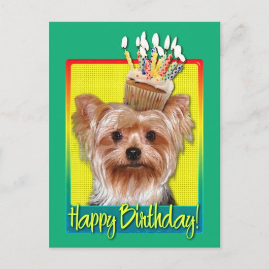 Carte Postale Cupcake d'anniversaire - Yorkshire Terrier (Devant)