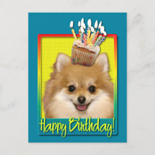 Carte Postale Cupcake Pomeranian