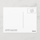 Carte Postale cupcake rouge, vous manquez ! (Dos)