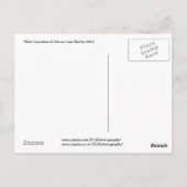 Carte Postale Cupcakes roses (Dos)