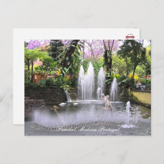 Carte Postale Cupids Fontaines d'eau Funchal, Madère (Portugal) (Devant / Derrière)