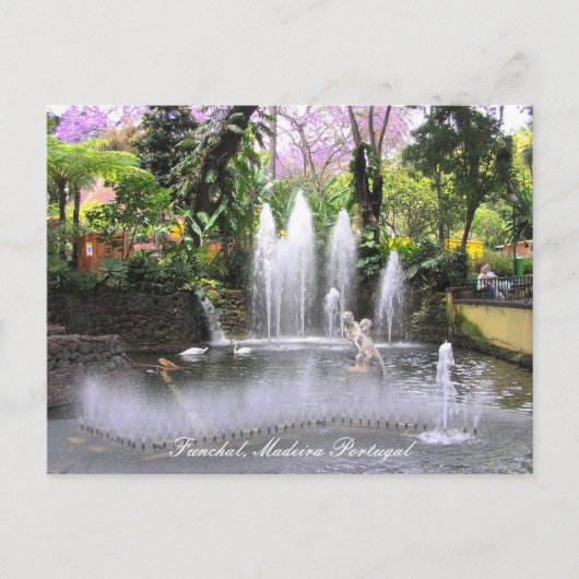Carte Postale Cupids Fontaines d'eau Funchal, Madère (Portugal) (Devant)