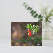 Carte postale Cuple Couple Berries (Debout devant)
