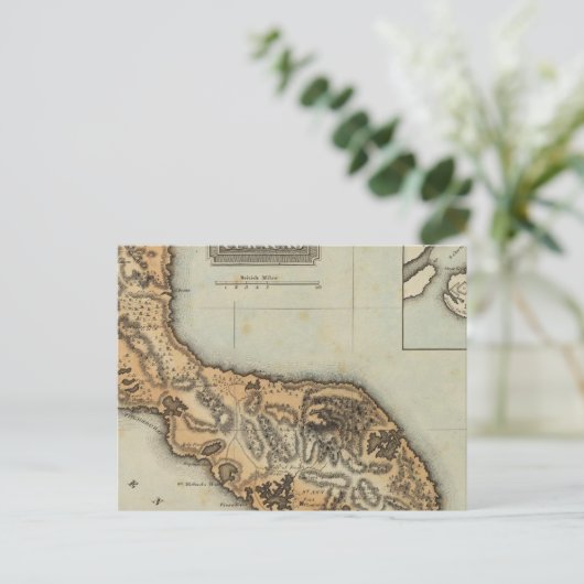 Carte Postale Curaçao (Debout devant)