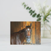 Carte Postale Curalina (Debout devant)