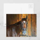 Carte Postale Curalina (Devant / Derrière)