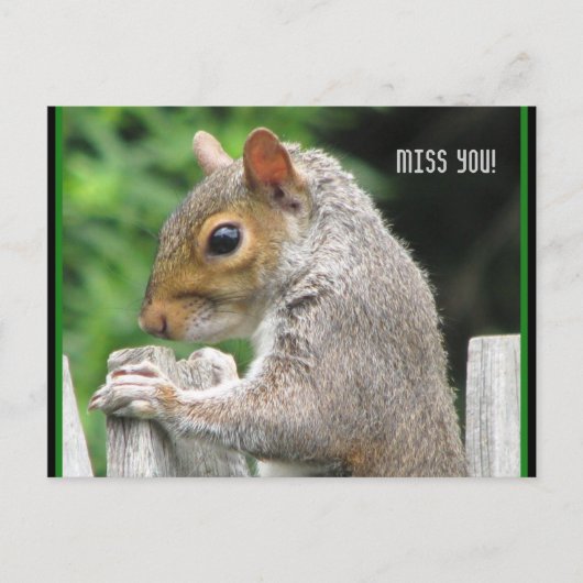Carte Postale Curieusement mignon, Mlle vous ! (Devant)