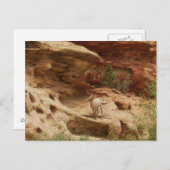 Carte Postale Curieux... (Devant / Derrière)