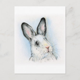 Carte Postale Curieux