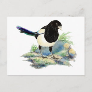 Carte Postale Curieux aquarelle Magpie Oiseau Art