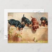 Carte Postale Curieux Chiots Dachshund et une grenouille (Devant / Derrière)