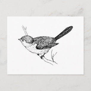 Carte Postale Curieux croquis Bushtit Bird