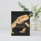 Carte Postale Curieux Dragon À Portée (Debout devant)