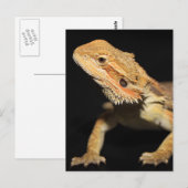 Carte Postale Curieux Dragon À Portes 3 (Devant / Derrière)