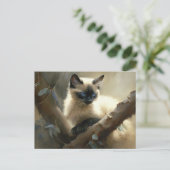 Carte Postale Curieux grimpeur Siamese Kitten (Debout devant)