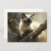 Carte Postale Curieux grimpeur Siamese Kitten (Devant / Derrière)