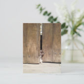 Carte Postale Curieux Kitten (Debout devant)