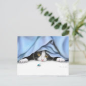 Carte postale Curieux Kitten (Debout devant)