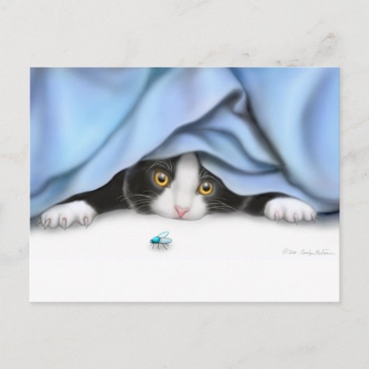 Carte postale Curieux Kitten (Devant)