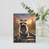Carte Postale Curieux Raccoon (Debout devant)