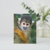 Carte Postale Curieux singe écureuil (Debout devant)