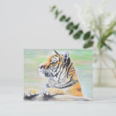 Carte Postale Curieux tableau de tigre (Debout devant)