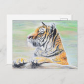 Carte Postale Curieux tableau de tigre (Devant / Derrière)