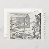 Carte Postale Curing the Sick, les autochtones d'Hispaniola (Devant / Derrière)