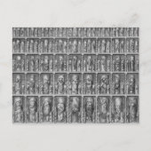 Carte Postale Curiosité (Devant)