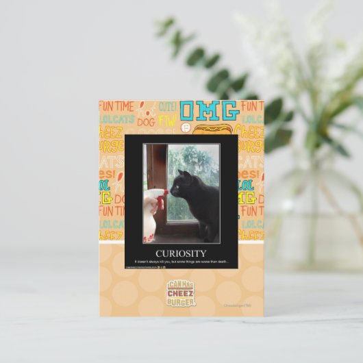 Carte Postale Curiosité (Debout devant)