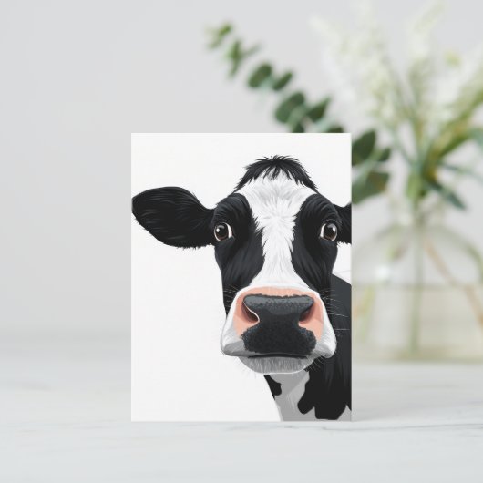 Carte Postale Curiosité de vache rapprochée (Debout devant)