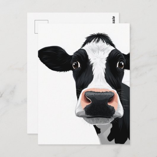 Carte Postale Curiosité de vache rapprochée (Devant / Derrière)