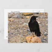 Carte Postale Curiosité mutuelle (Devant / Derrière)