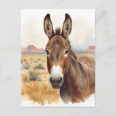 Carte Postale Curious âne dans la scène du désert du sud-ouest (Devant)