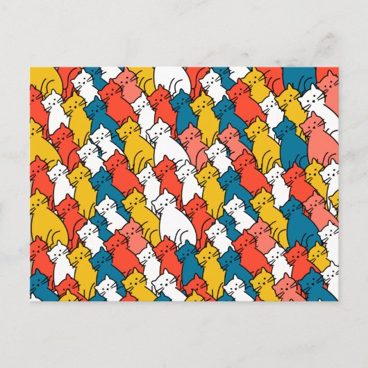 Carte Postale Curious Cats coloré (Devant)