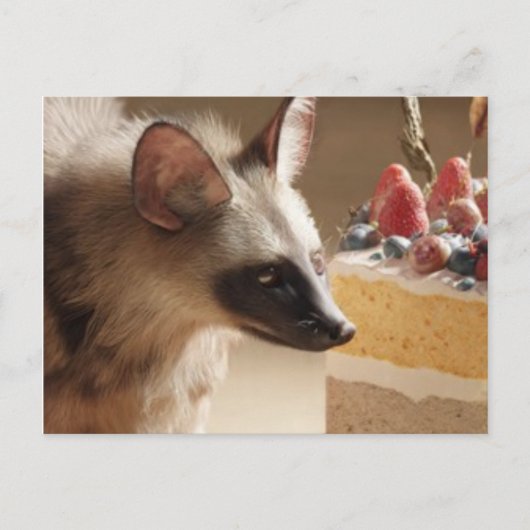 Carte Postale Curious Hyena & Cake Postcard (Devant)