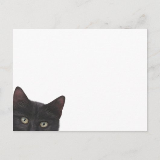 Carte Postale Curious Kitty peinture numérique (Devant)