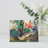 Carte Postale Curl Crested Aracari Toucan (Debout devant)