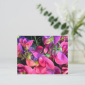 Carte Postale Curly Que (Debout devant)