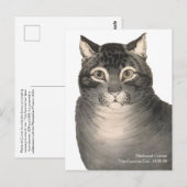 Carte Postale Currier & Ives Cat Cute Victorian Fine Art (Devant / Derrière)
