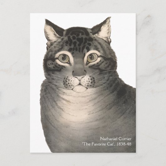 Carte Postale Currier & Ives Cat Cute Victorian Fine Art (Devant)