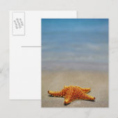 Carte Postale Cushion (Devant / Derrière)