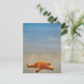 Carte Postale Cushion (Debout devant)