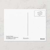 Carte Postale Cushman Ranch (Dos)