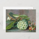 Carte postale Custard Apple - Marianne North (Devant / Derrière)