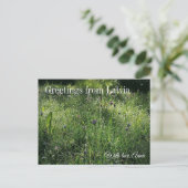 Carte Postale Custom Greetings from Latvia Wildflower Photograph (Debout devant)