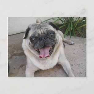 Carte Postale Custom Personalized Photo Postcard