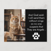 Carte Postale Custom Pet Memorial Photo Postcard (Devant)