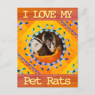 Carte Postale Custom Rat Photo I Love my Pet Rat